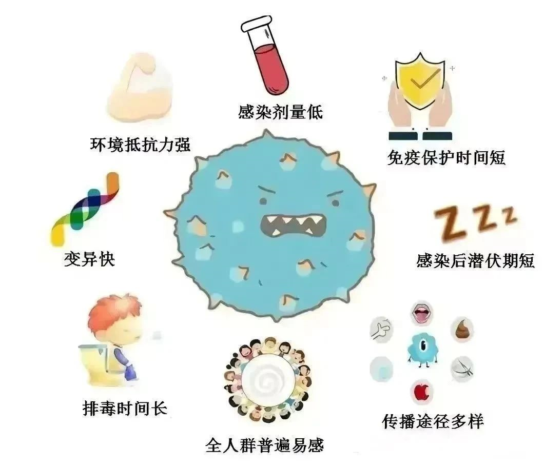 健康提示 | 近期諾如病毒進(jìn)入高發(fā)期，這份健康提醒請(qǐng)查收！